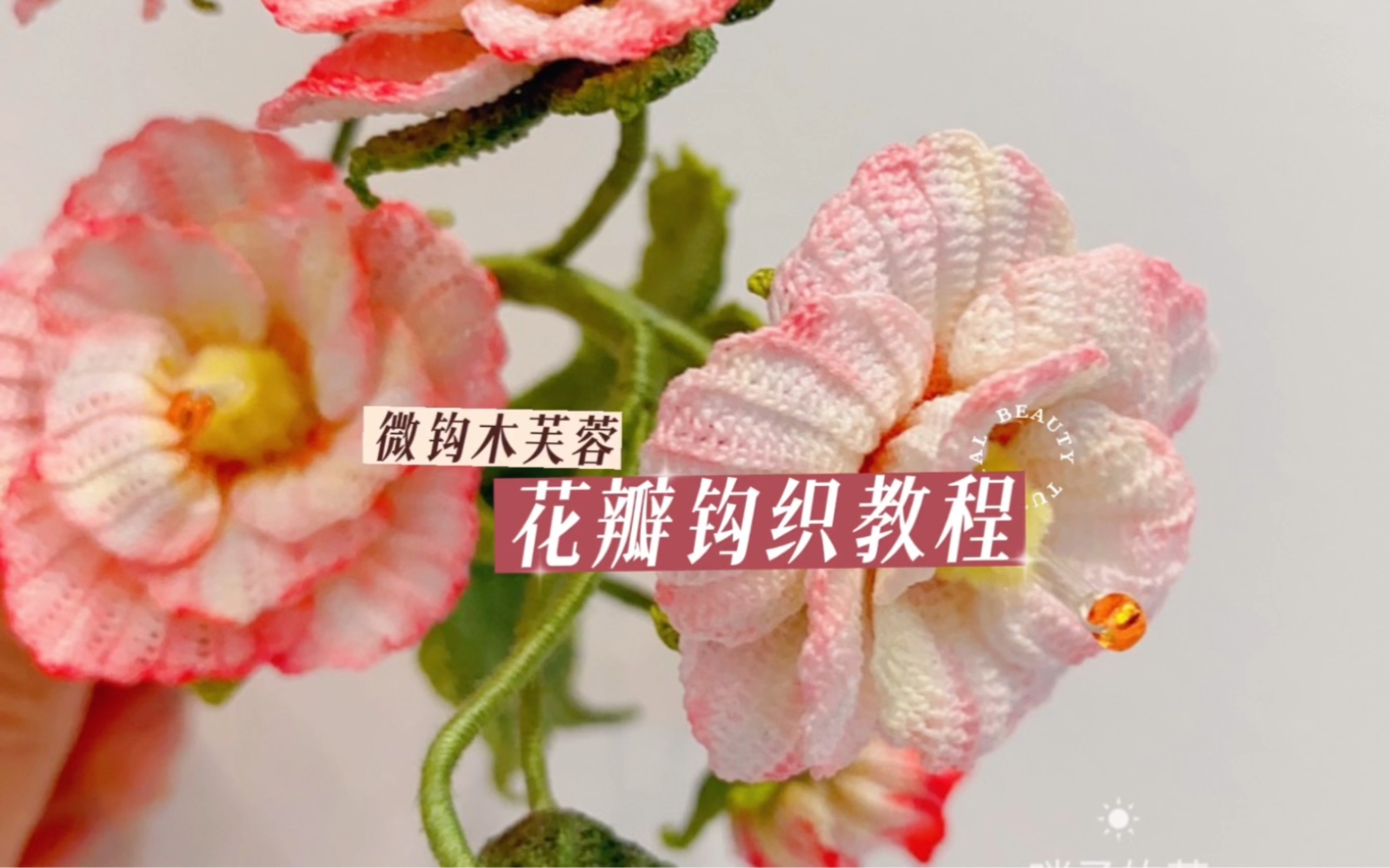 [图]木芙蓉钩织教程