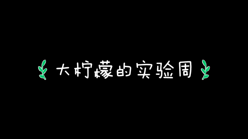 实验周vlog/炼蜜/搓药丸/化药崩解时限/砂烫骨碎补/炸虾片哔哩哔哩bilibili