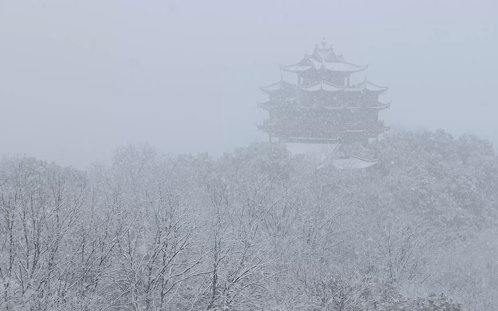 [图]2022 杭 州 大 雪