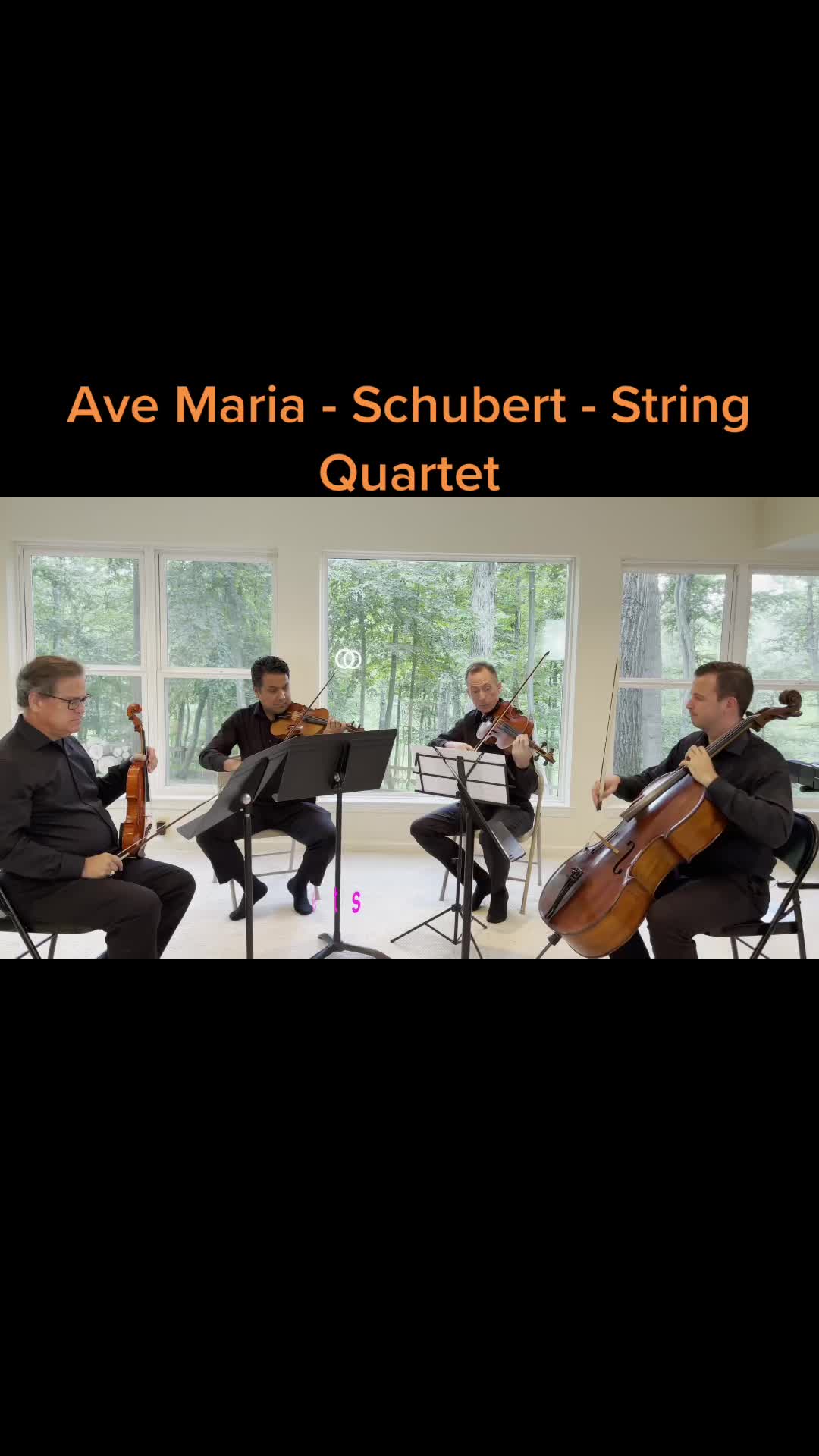 #schubert #avemaria #strings #wedding #weddingmusic #stringpoets #violin #cello哔哩哔哩bilibili