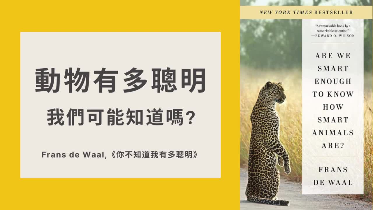 [图]動物有多聰明，我們可能知道嗎？｜Are We Smart Enough to Know How Smart Animals Are_