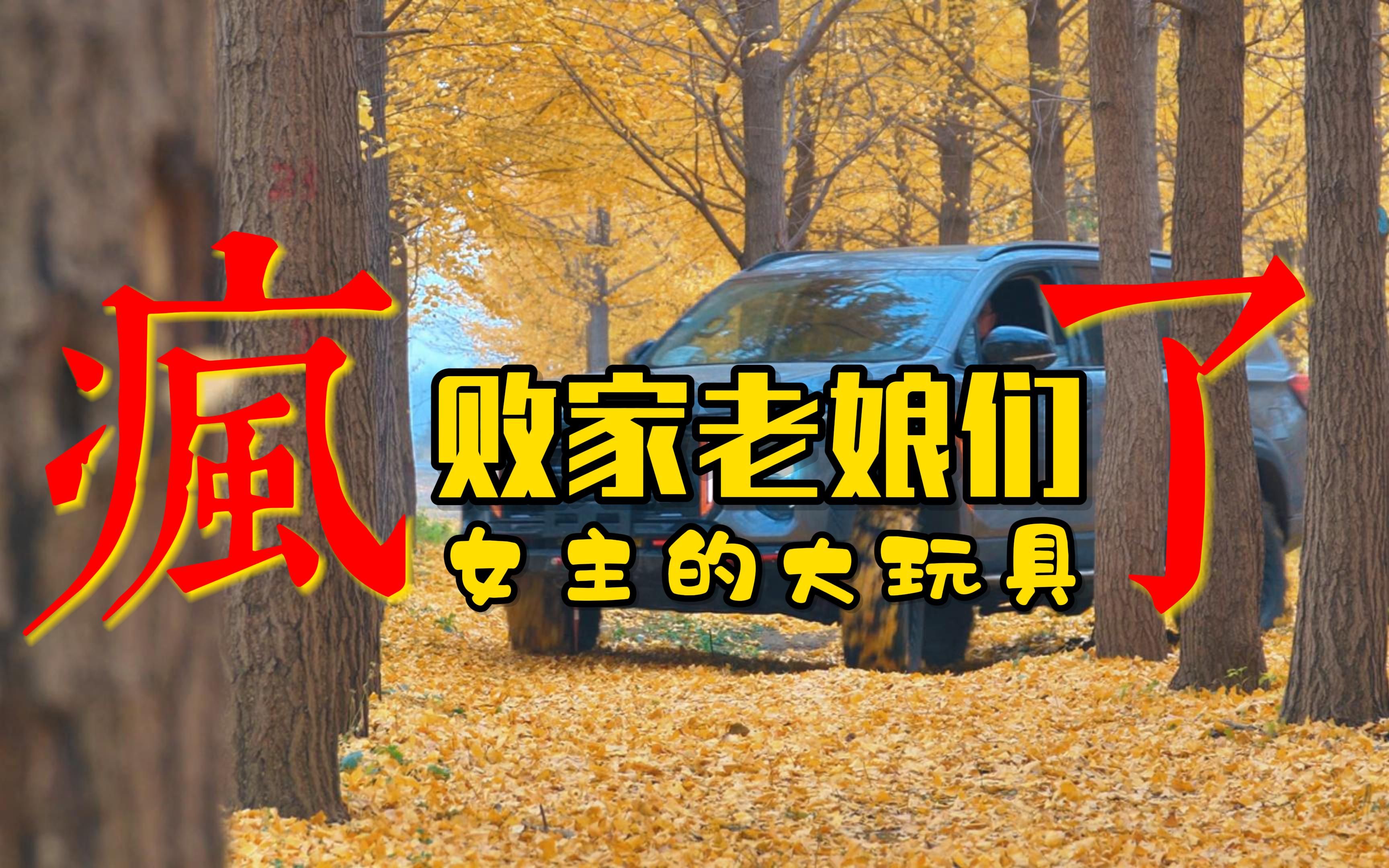 女人别碰车,败家老娘们疯了!女主喜得越野大玩具