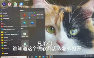 Download Video: 微软商店打不开了Microsoft store，这是什么情况呢