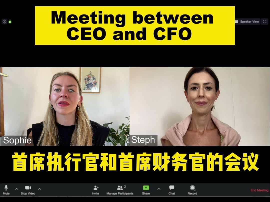 商务英语:CEO 与 CFO 的高层会议哔哩哔哩bilibili