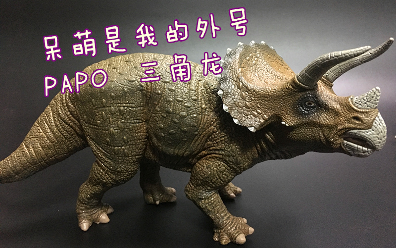 【初丁分享073】我是小呆萌~侏罗纪公园papo三角龙法国papo风神翼龙