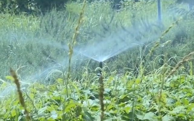 [图]【园艺小知识】节水灌溉技术 包括滴灌、微喷、喷灌等现代化的灌溉方式，合理灌溉！