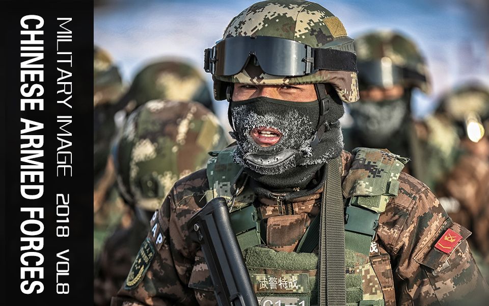 中国武装力量 11月-12月军情写真【2018年第八期】