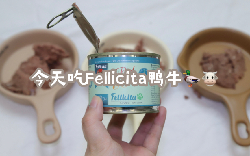 【喂饭Vlog53|主食罐】今天吃Fellicita满满鸭牛哔哩哔哩bilibili