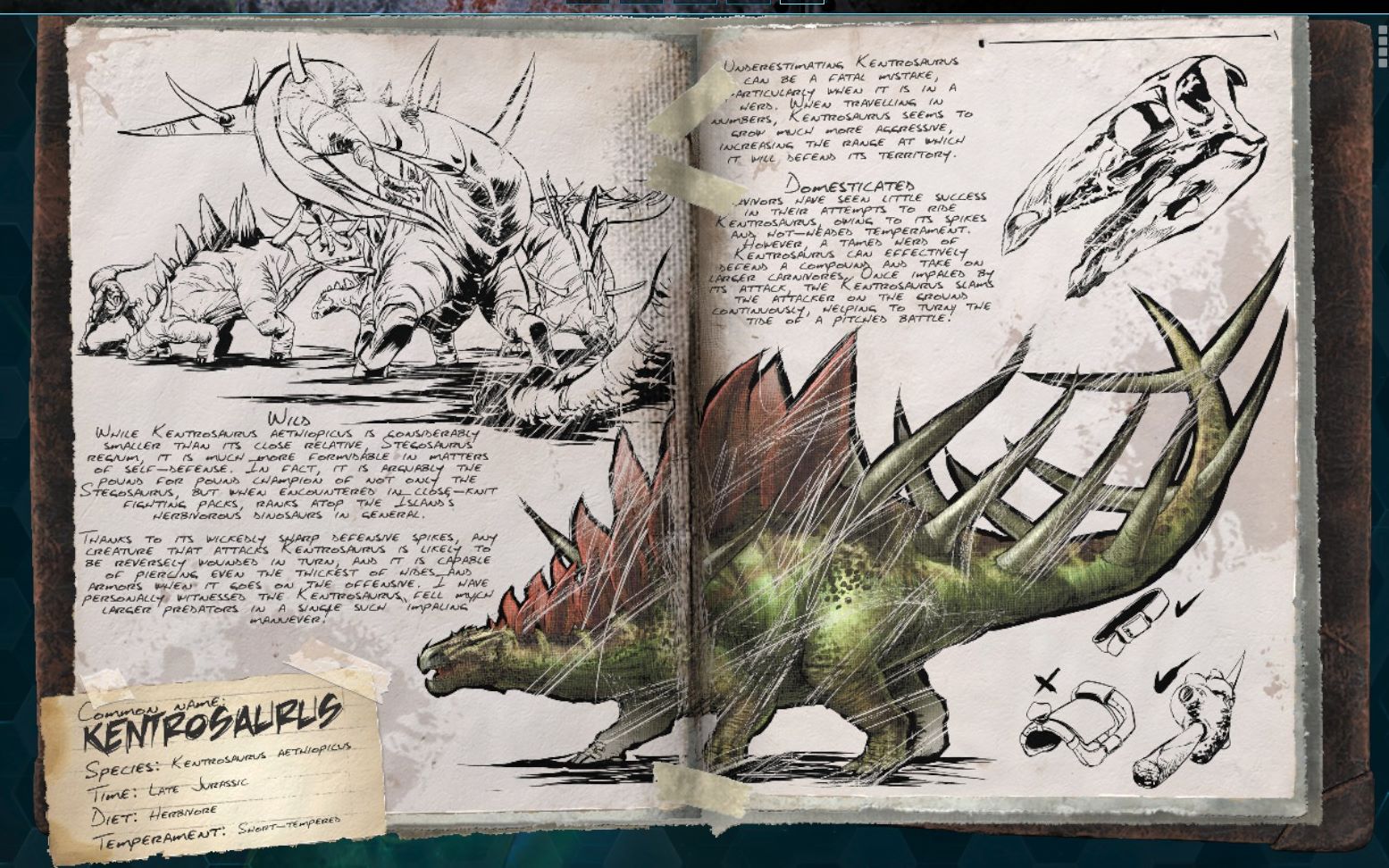 方舟生存进化标本日记肯氏龙