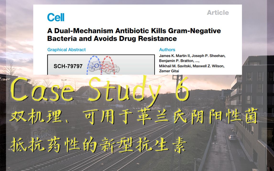 【Case Study6】双机理、可用于革兰氏阴阳性菌的、低抗药性的新型抗生素哔哩哔哩bilibili