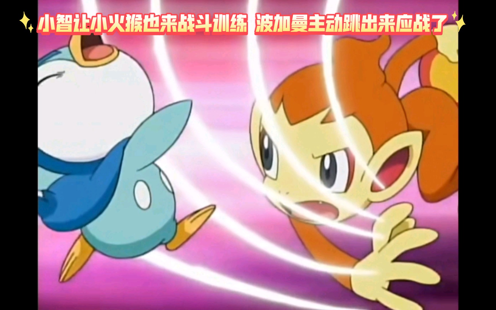 精灵宝可梦 小智让小火猴也来战斗训练 波加曼主动跳出来应战了