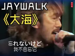 Download Video: 日本殿堂级摇滚乐队JAYWALK《大海》致敬华语前辈张雨生