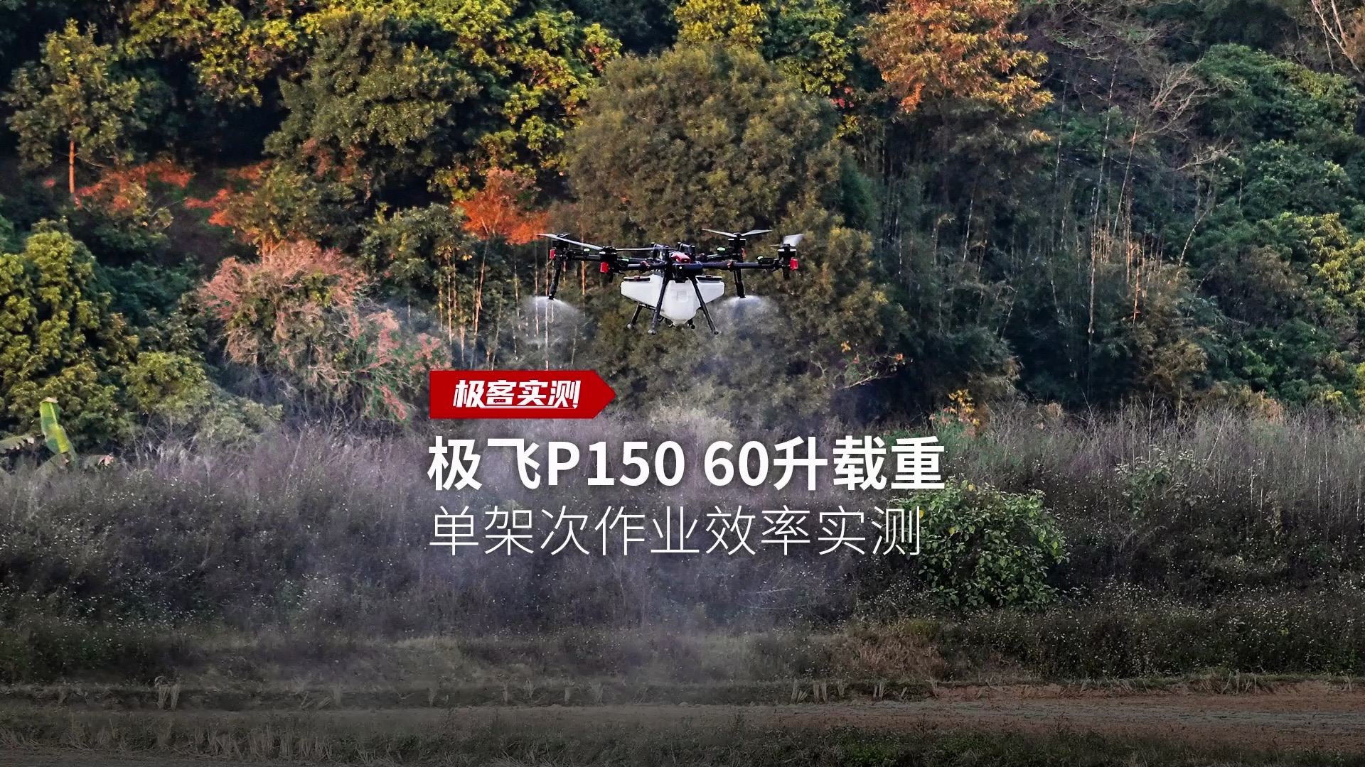 极飞p150 60升载重,亩用量1.5升,单架次作业效率实测.