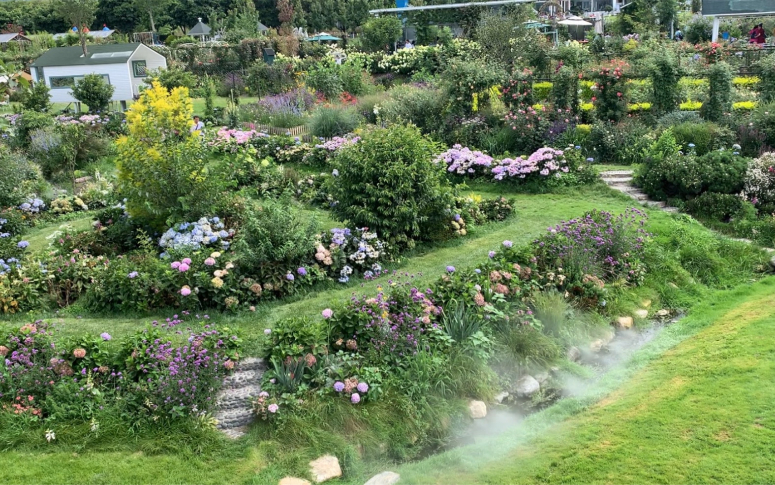 大理-猫米花园-闲适玩耍拍照圣地