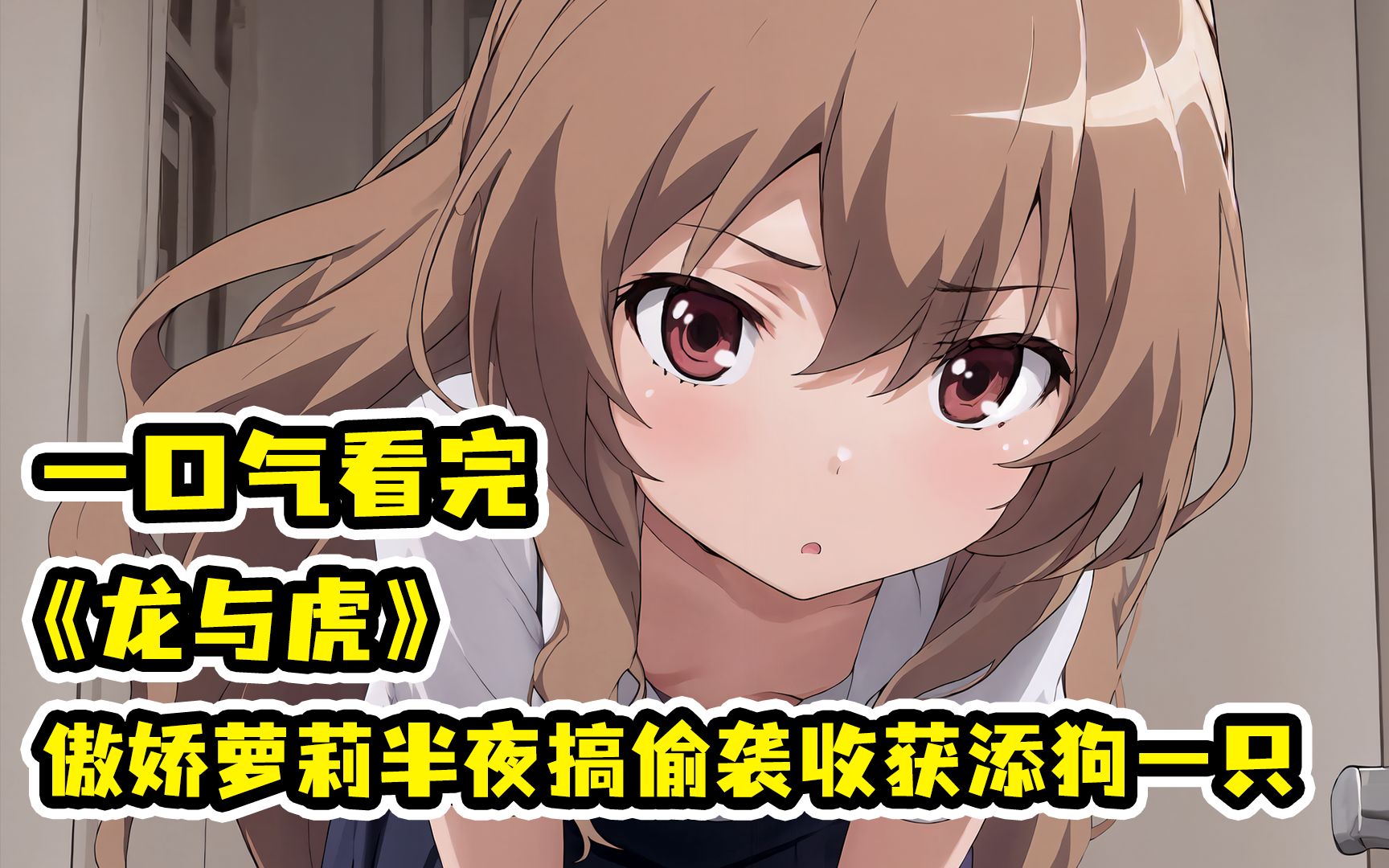 不良少年撞破告白现场，从此沦为萝莉的狗！一口气看完《龙与虎》
