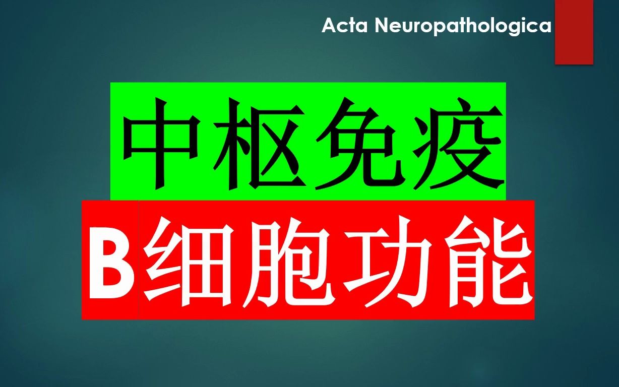 Acta Neuropathologica—抗B细胞疗法对多发性硬化是有益的,还是有害的?哔哩哔哩bilibili