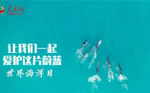 下载视频: 世界海洋日 守护蔚蓝