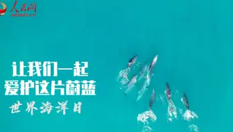世界海洋日 守护蔚蓝