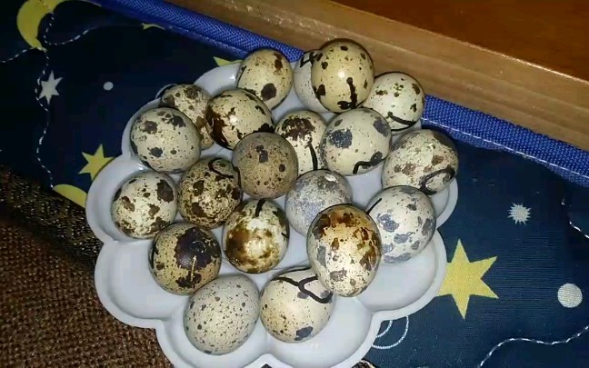 鹌鹑蛋孵化失败图图片