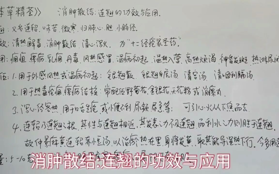 连翘的功效与应用  “本草精荟”既“中药学”视频合辑哔哩哔哩bilibili