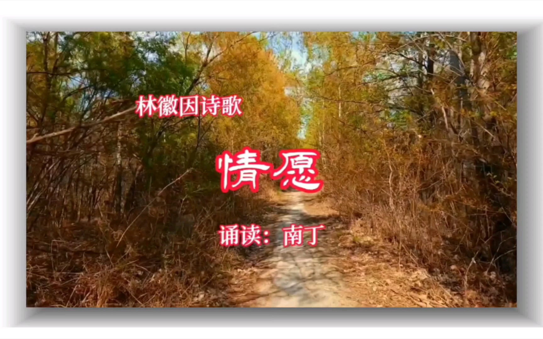 林徽因诗歌《情愿》诵读:南丁