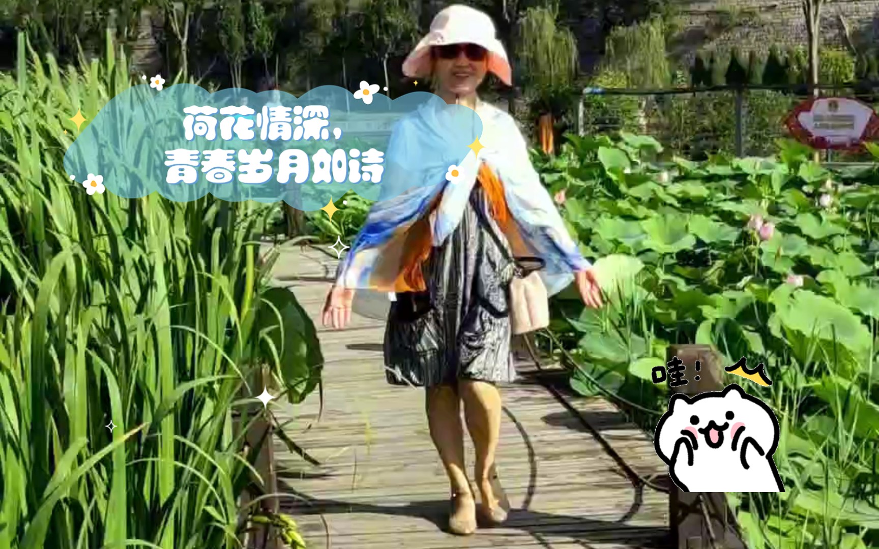 [图]荷花情深，青春岁月如诗