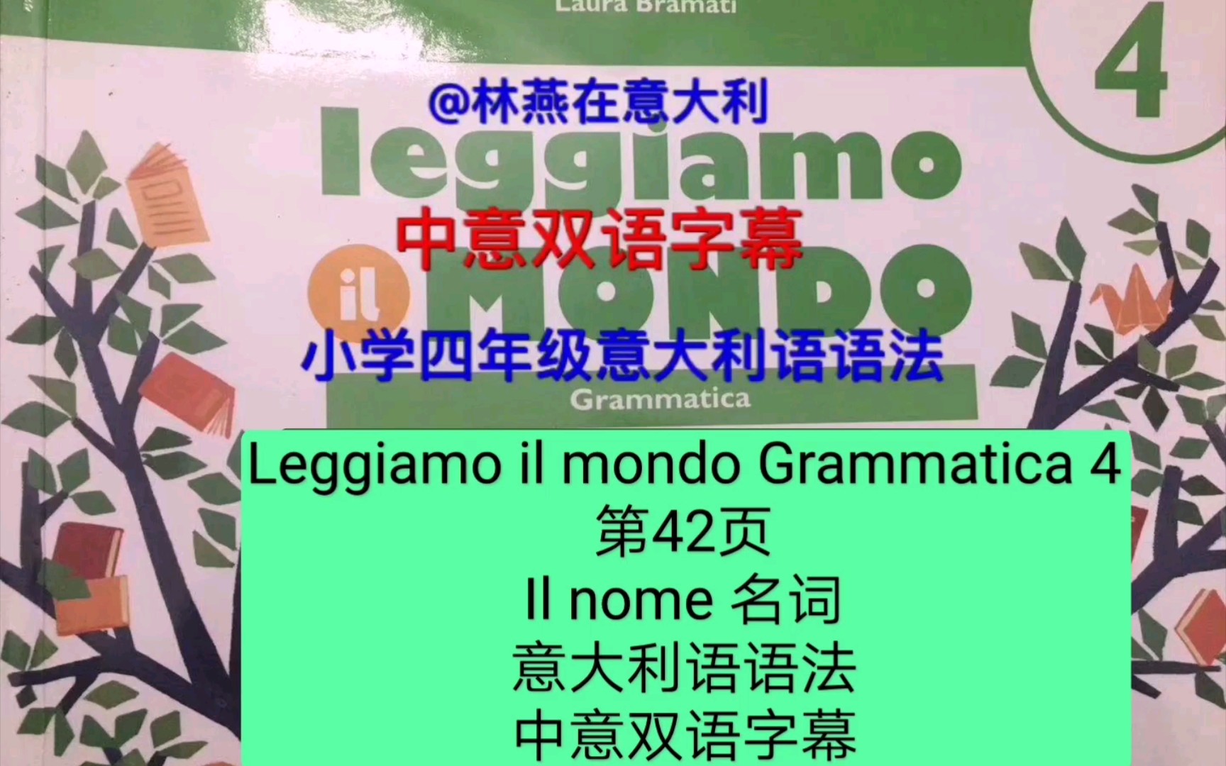 第42页意大利语语法【Il nome 名词】中意双语字幕#Leggiamo il mondo Grammatica 4哔哩哔哩bilibili