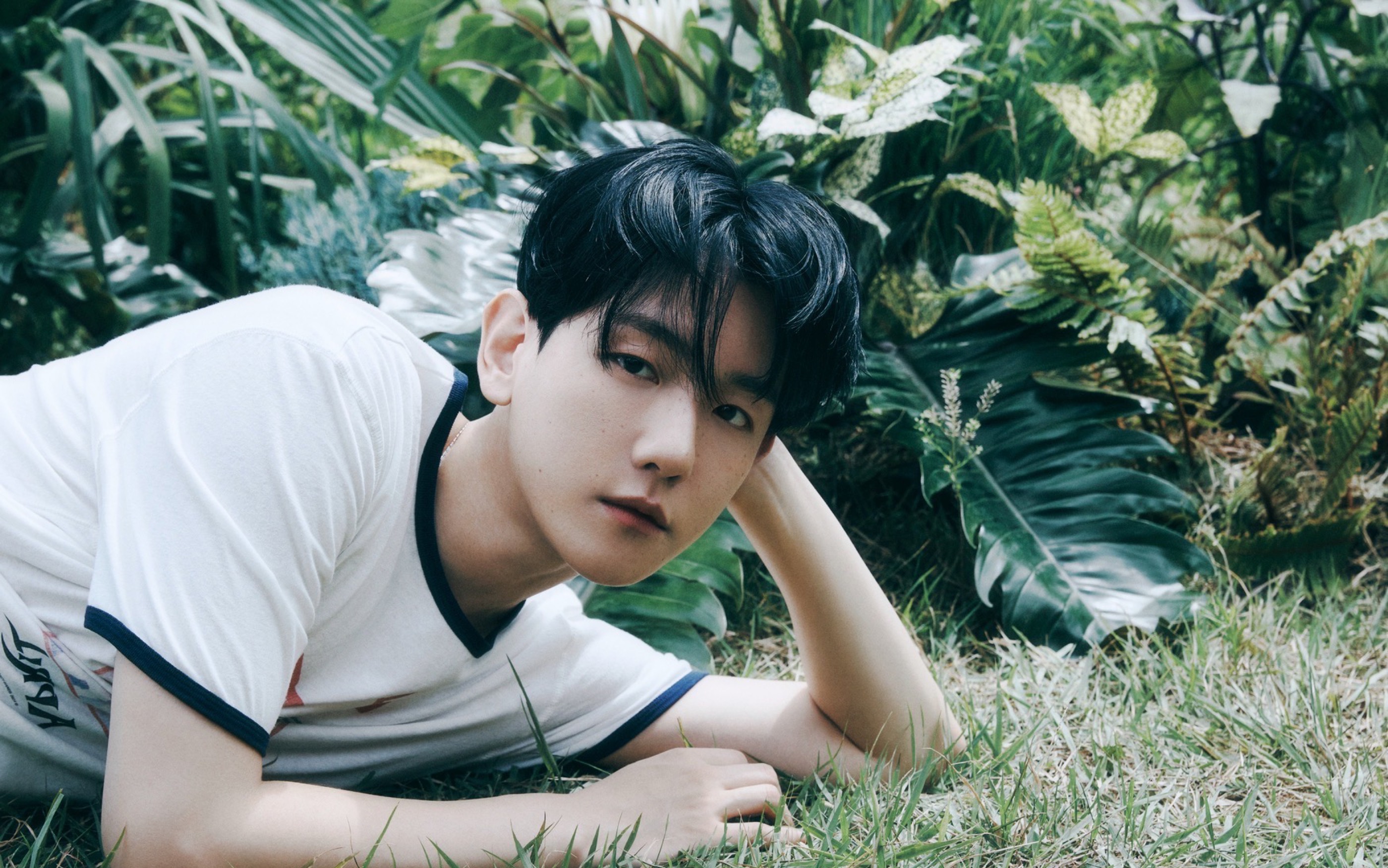 边伯贤|新专辑主打曲《pineapple slice》打歌舞台相关物料 持更