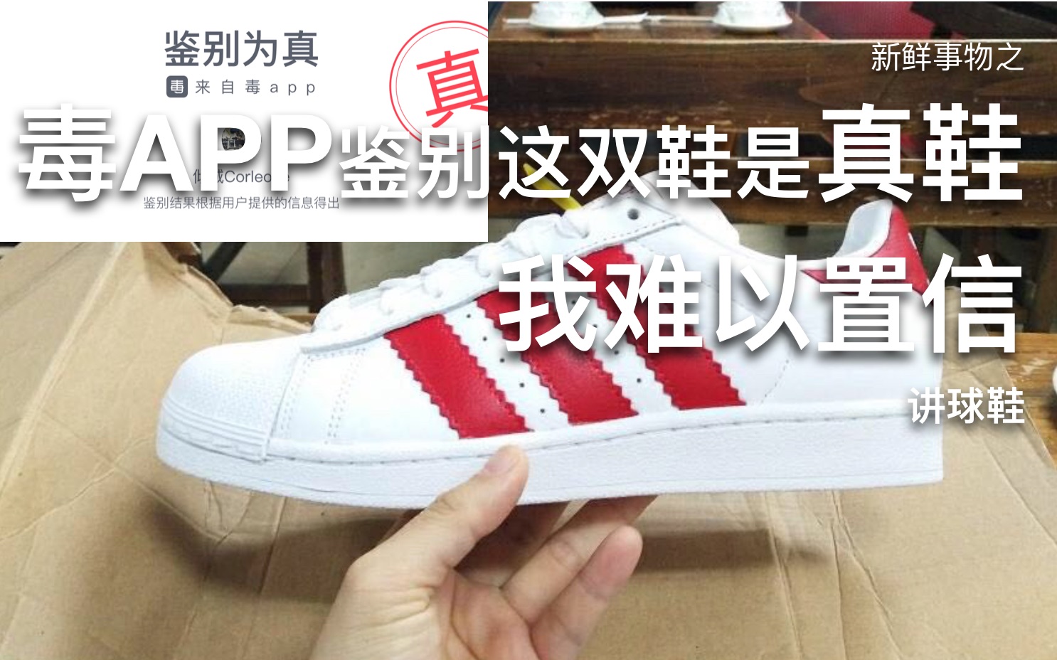 毒app鉴别这双鞋是真鞋 我难以置信 讲球鞋