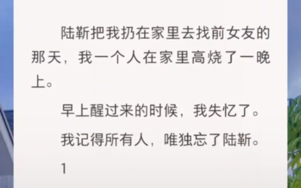 陆靳把我扔在家里去找前女友的那天,我一个人在家里高烧了一晚上.早上醒过来的时候,我失忆了.我记得所有人,唯独忘了陆靳.……哔哩哔哩bilibili