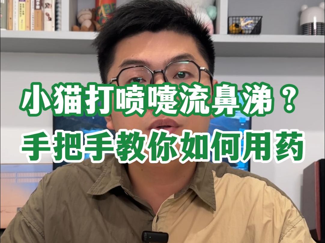 小猫打喷嚏是怎么回事?猫鼻支引起的打喷嚏流鼻涕吃什么药,如何治疗?教你彻底治好猫鼻支哔哩哔哩bilibili