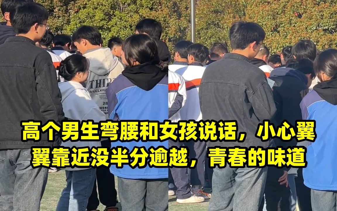 高个男生弯腰和女孩说话,小心翼翼靠近没半分逾越,青春的味道