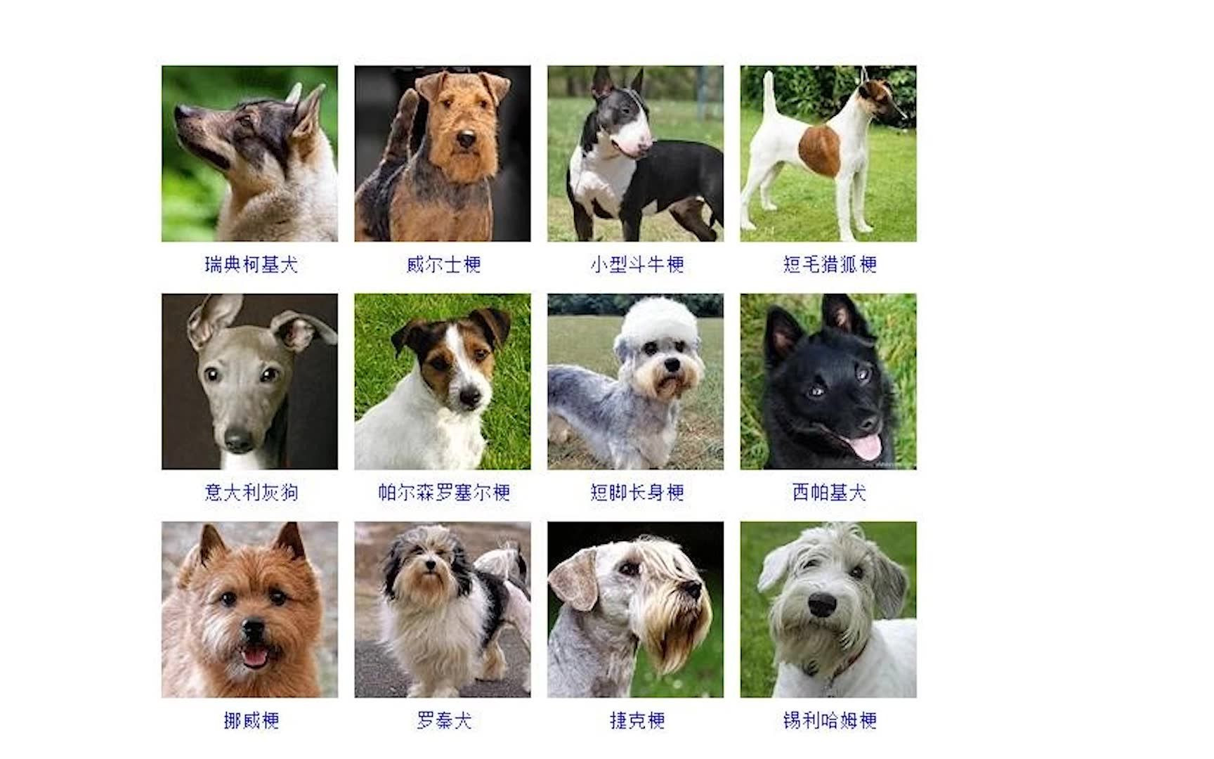 猫咪图签_哔哩哔哩_bilibili