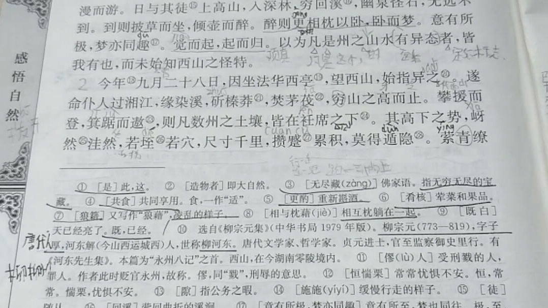 高中语文文言文朗读——《始得西山宴游记》苏教版必修一哔哩哔哩bilibili