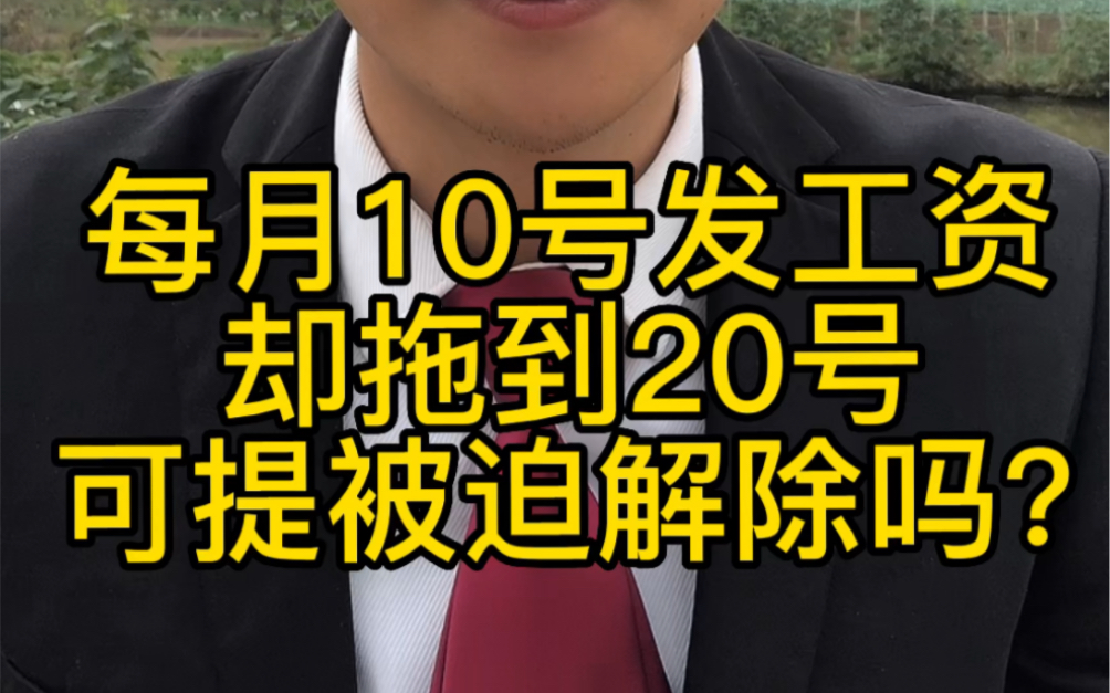 约定每月10号发工资,却拖欠到20多号,可以提被迫解除劳动合同吗?哔哩哔哩bilibili