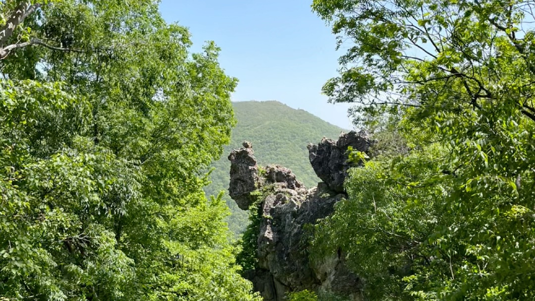 荆门荆门绿林山风景区图片