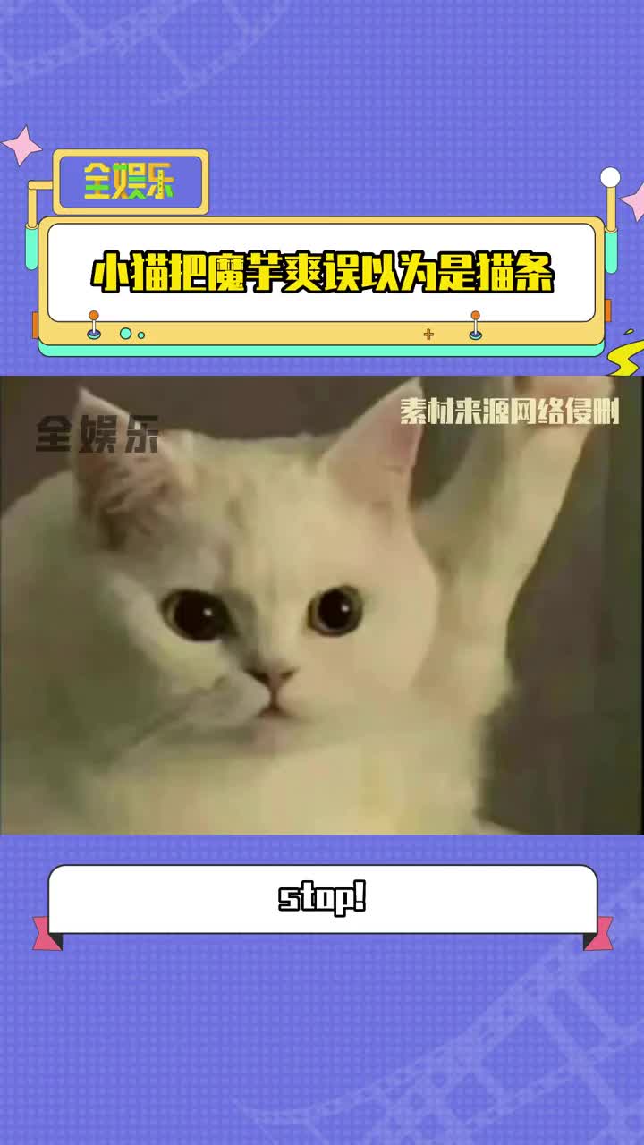 #猫咪的迷惑行为 小猫僵硬且面无表情的讨好主人,仿佛有一道程序一样!#猫咪日常 #每日一笑哔哩哔哩bilibili