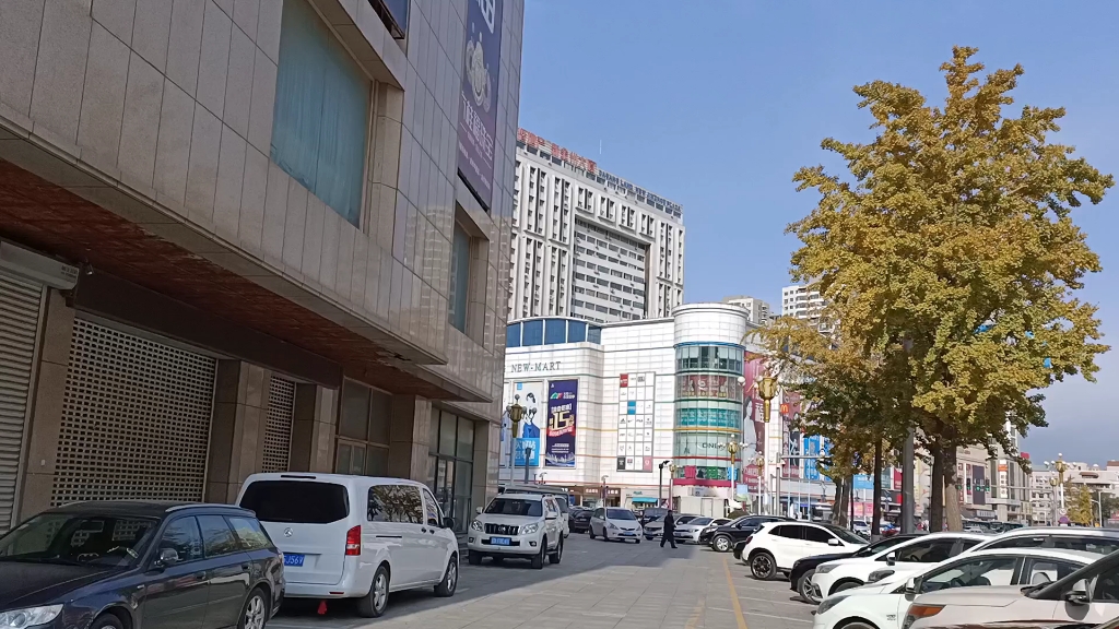 金州城区斯大林路附近的全景.