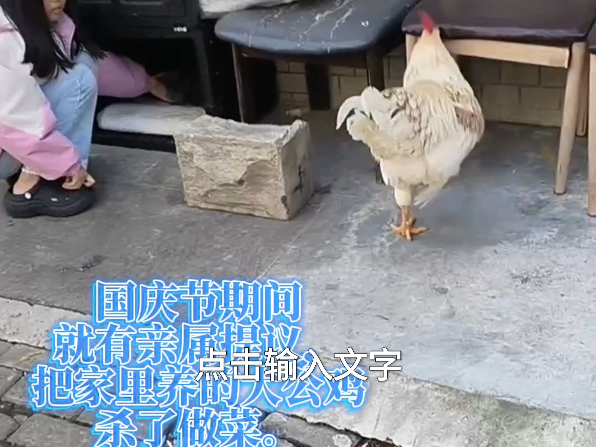 真不忍心把养了四个月的大公鸡杀了做菜啊！可是它成了惹祸精，天天在小区院里称王称霸，有了许多不好的名声，传出去不好听啊。