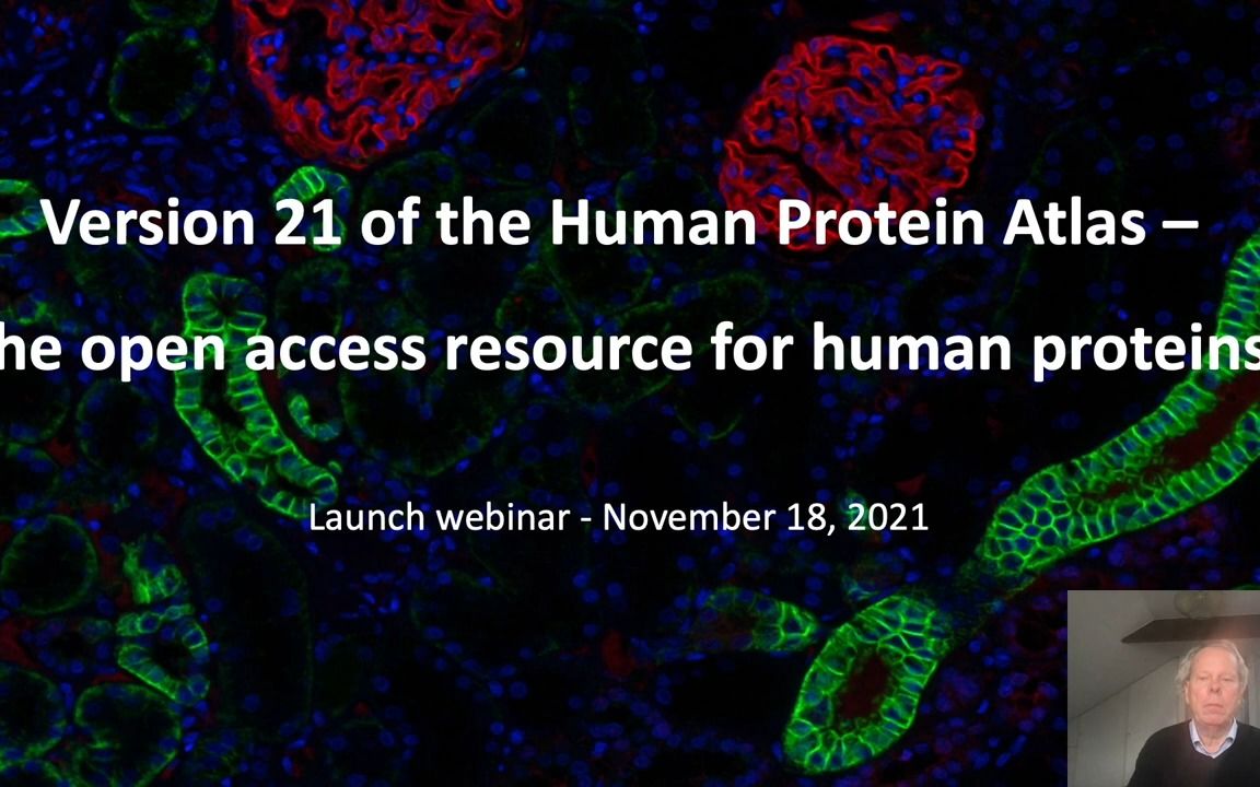 Human Protein Atlas网站新功能哔哩哔哩bilibili