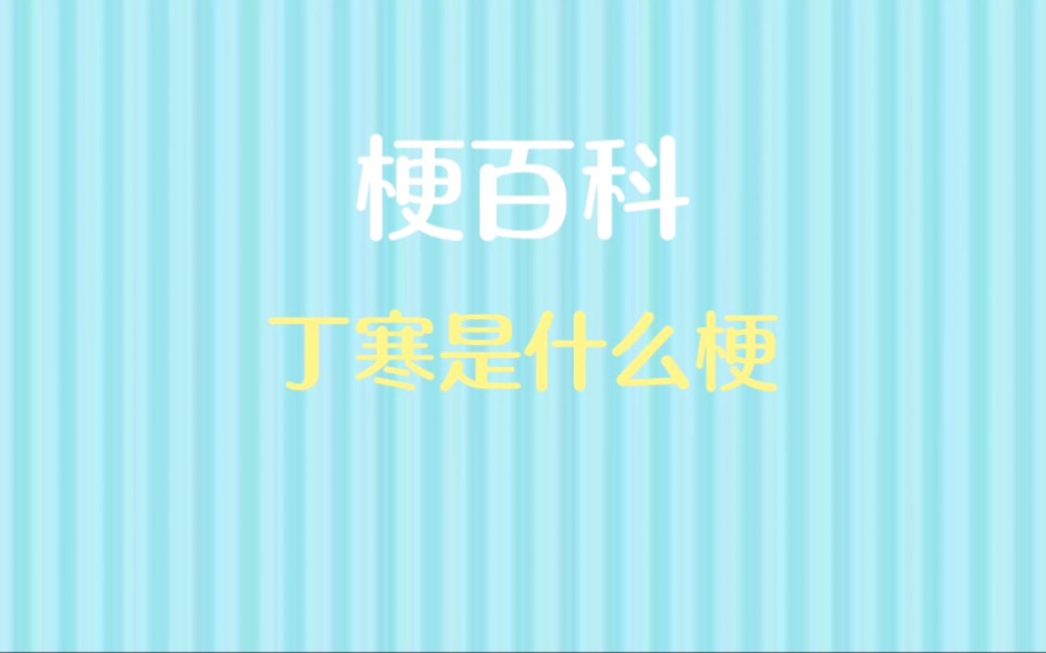 【吃瓜小鹏】丁寒是什么梗?哔哩哔哩bilibili