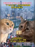 Скачать видео: 广西人要连休11天！浙江：以后请叫我广西省浙江市！网友：坚持一个中国的原则