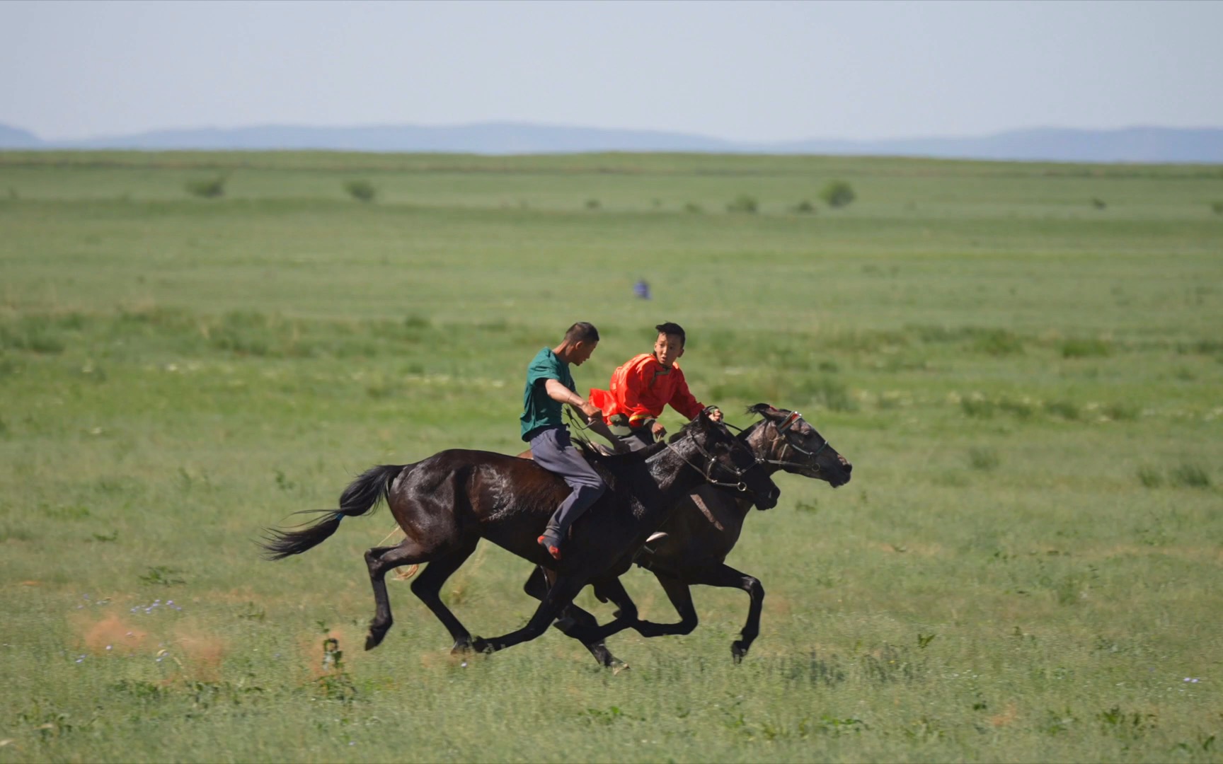 草原赛马 太帅了