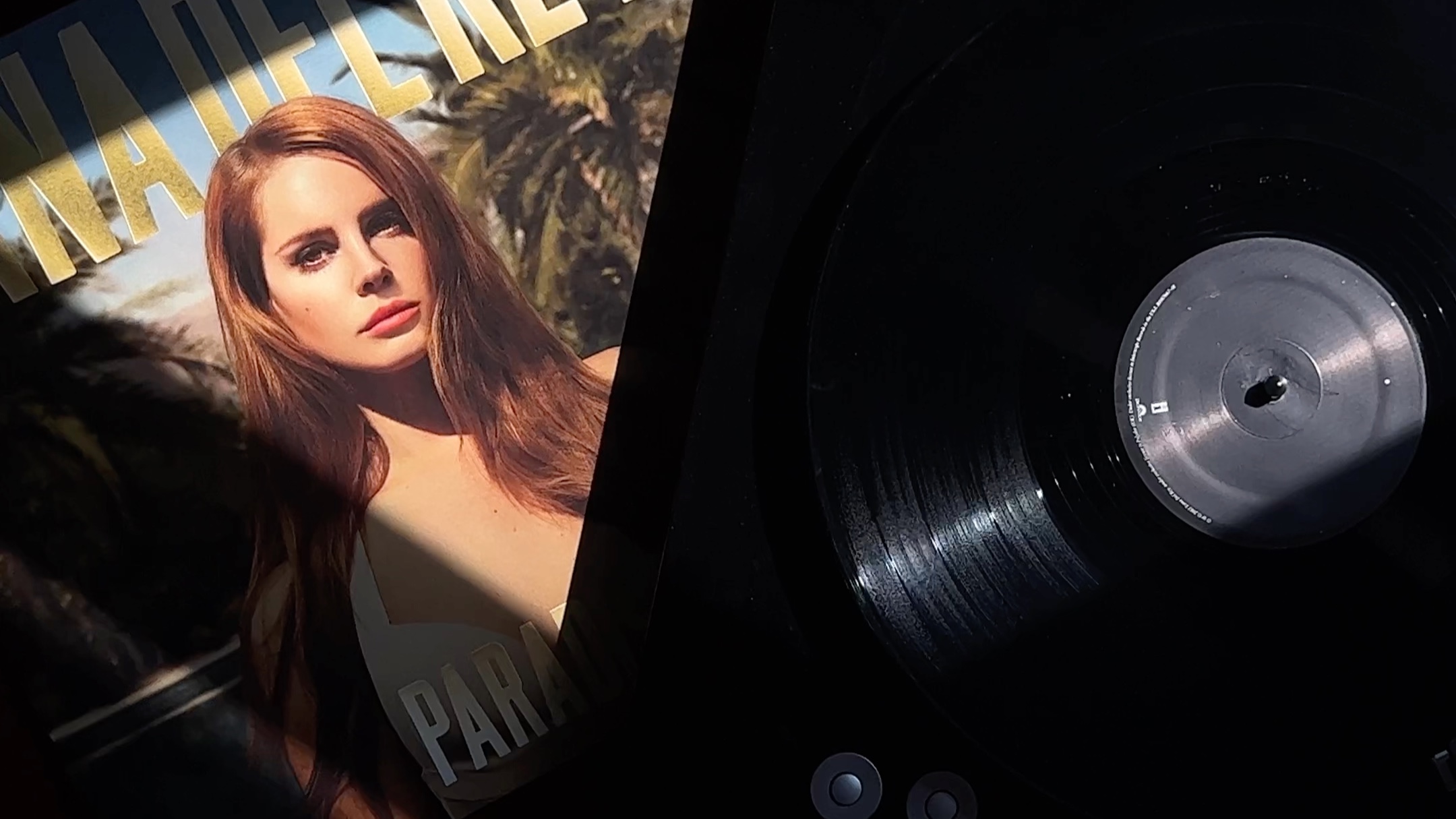 lana del rey打雷姐 黑胶唱片分享 gods & monsters