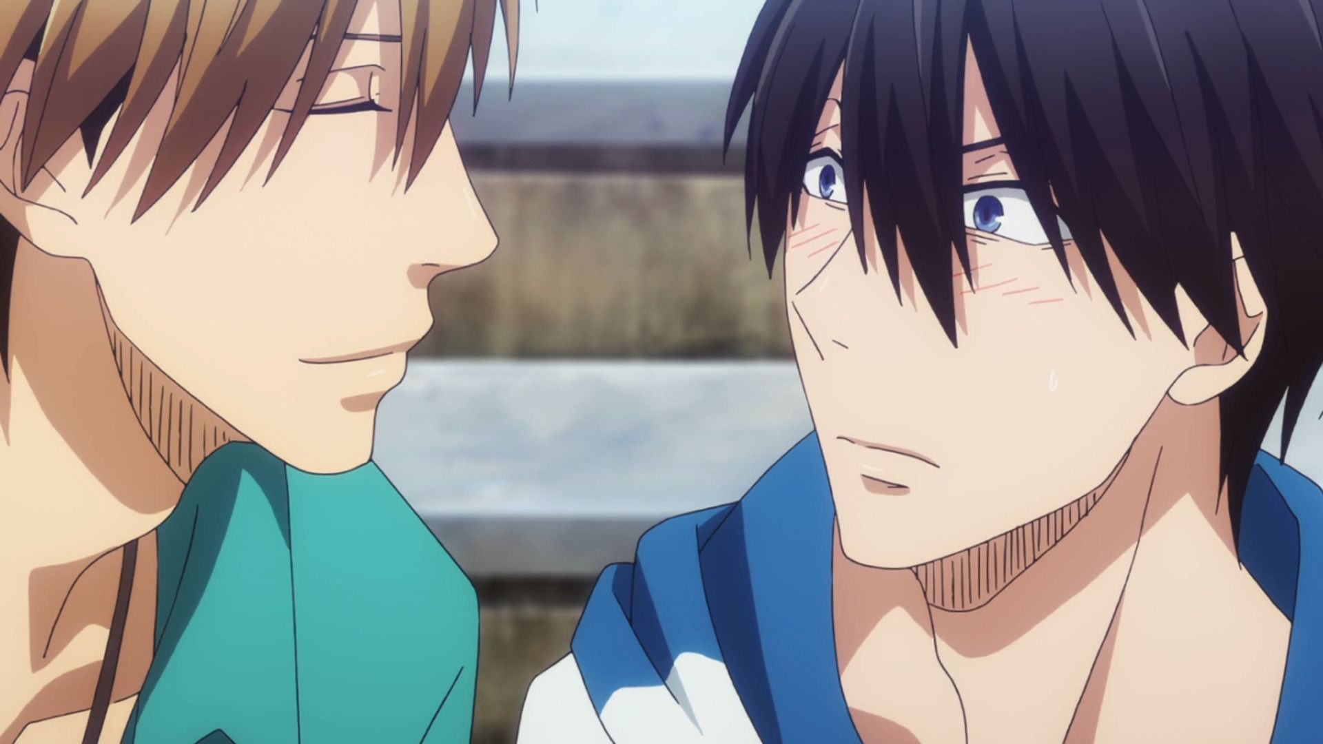 "高人先生可比海豚可爱多了!"