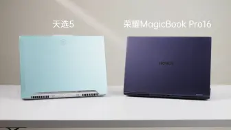 Download Video: 不用纠结，定位截然不同！天选5对比荣耀MagicBook Pro16