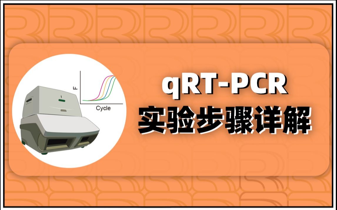 分子检测合集(4):QPCR 中篇 实验步骤及结果分析哔哩哔哩bilibili