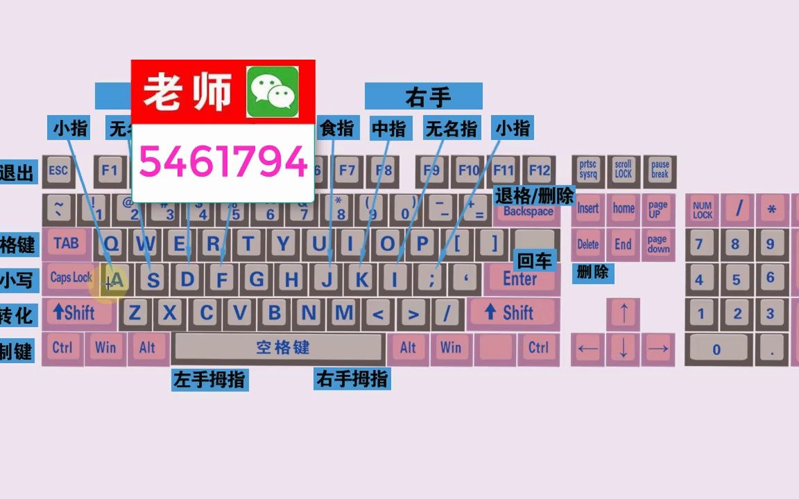 零基础快速学拼音学五笔打字教程,键盘打字快速入门哔哩哔哩bilibili