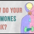 【Ted-ED】激素的运作原理 How Do Your Hormones Work