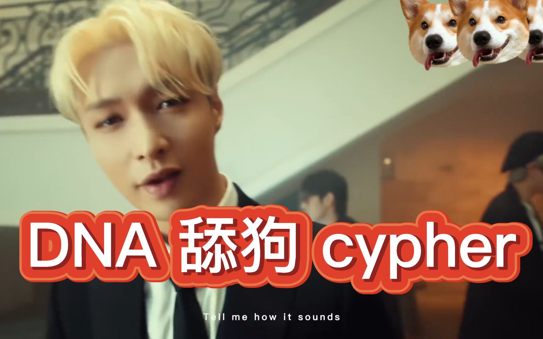 [图]D.N.A Cypher 舔狗版